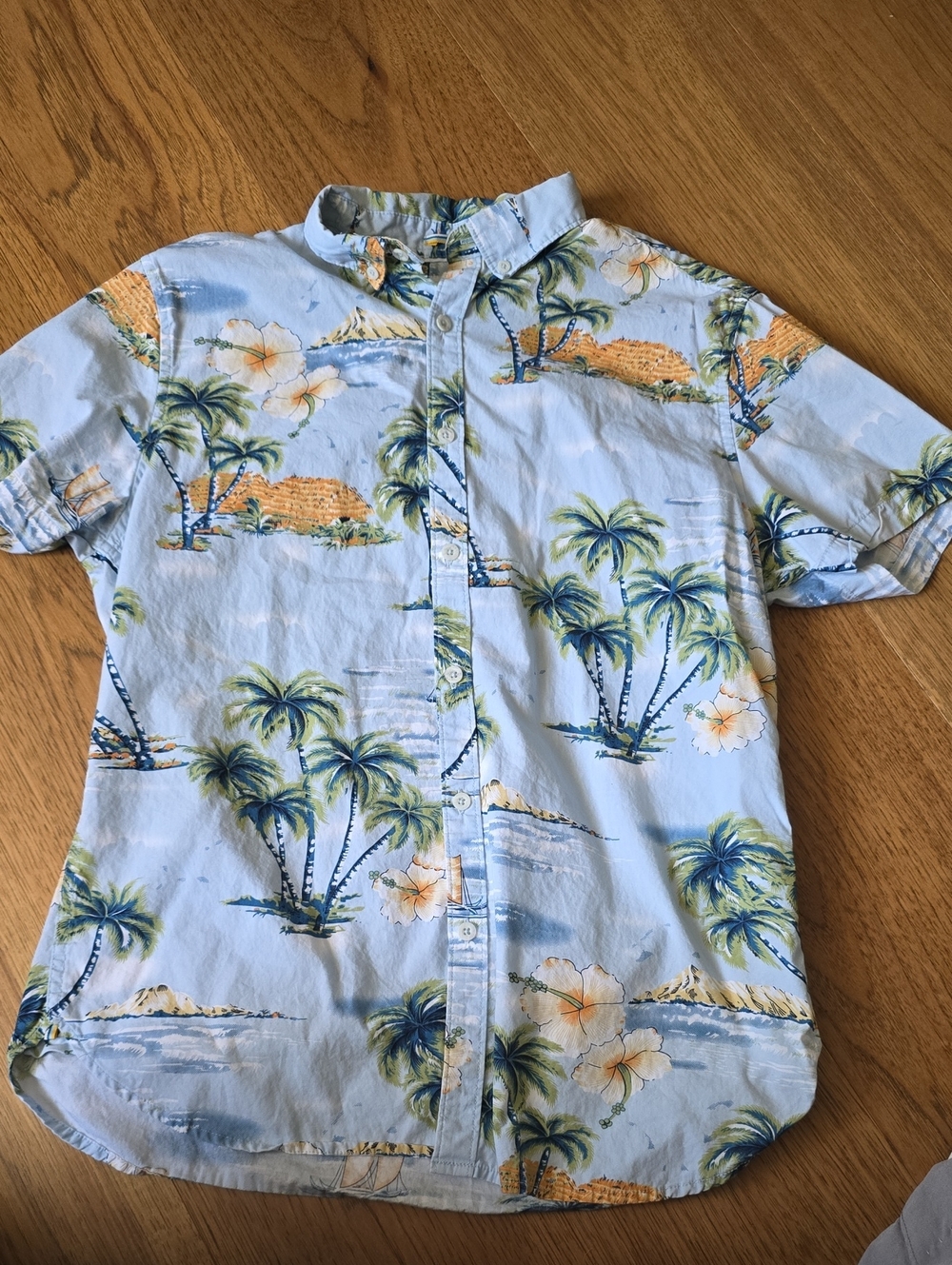 Mens Denim & Flower Light Blue Tropical Palm Print Button-Down Shirt